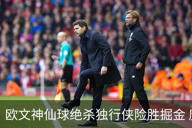 欧文神仙球绝杀独行侠险胜掘金 魔术大胜猛龙